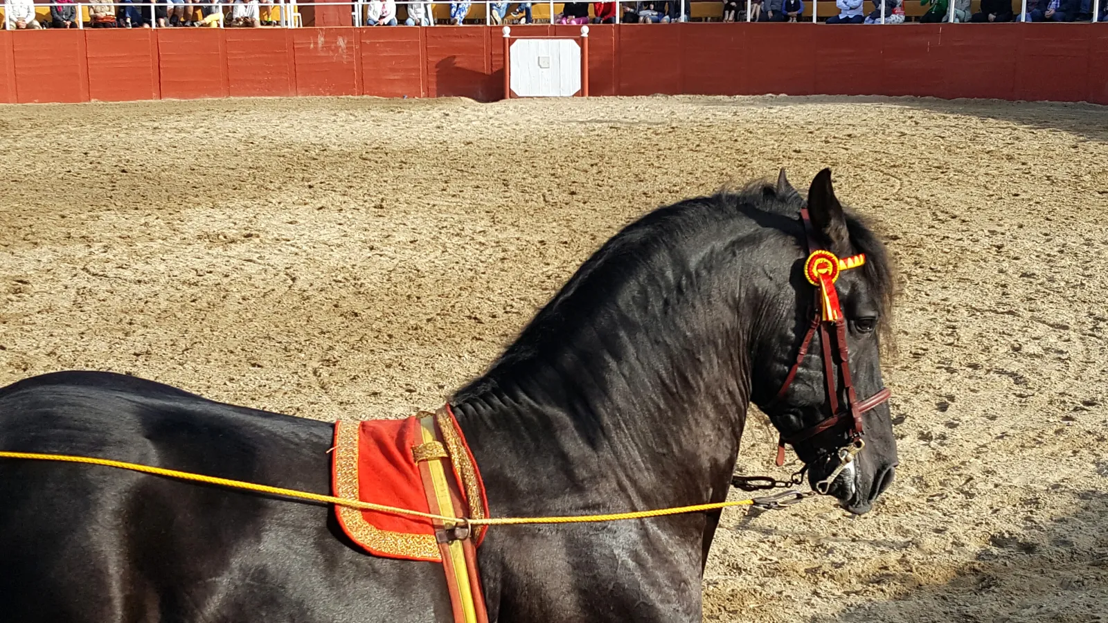 Show de Caballos