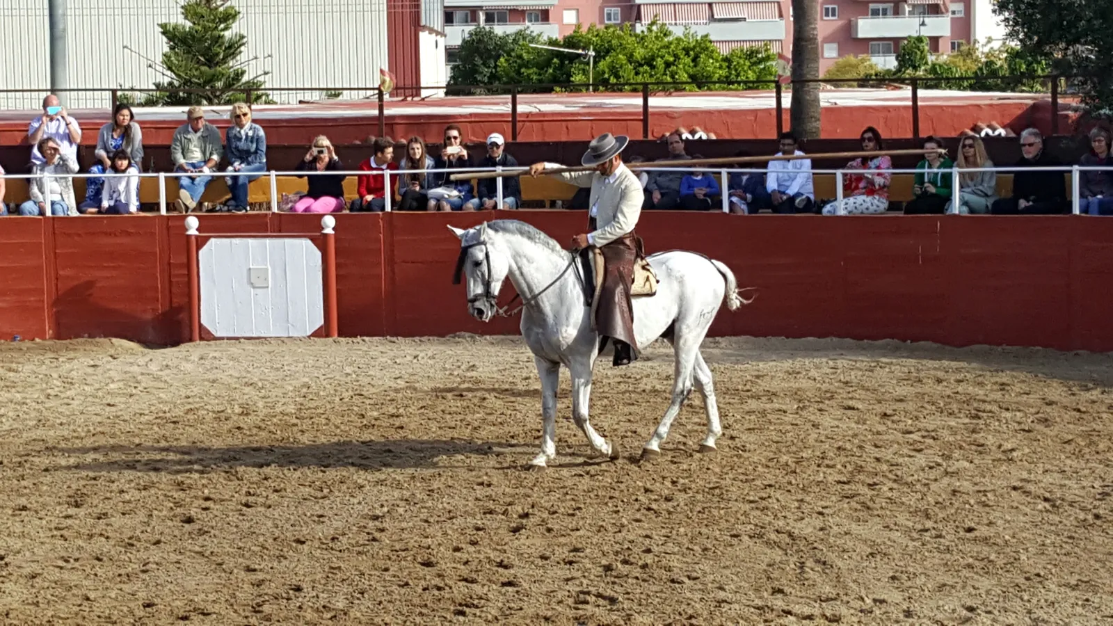 El caballo Pura Raza Española, alma de Andalucía