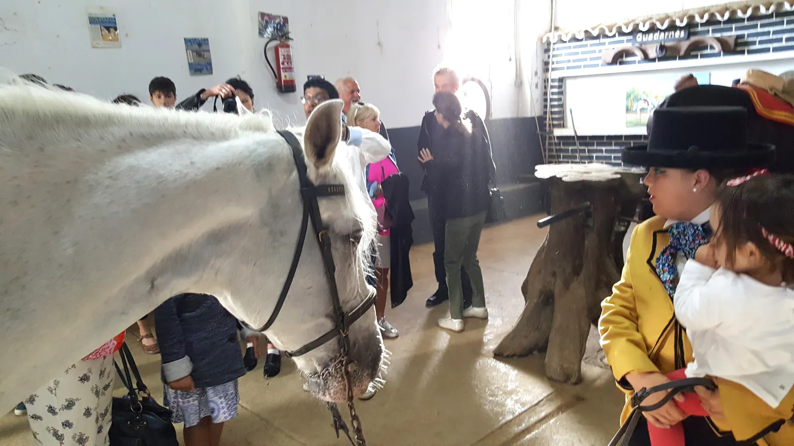 Visitantes acariciando un caballo en los establos después del show