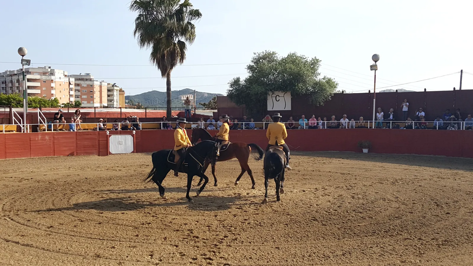 Dos jinetes con caballos negros en la arena durante el espectáculo