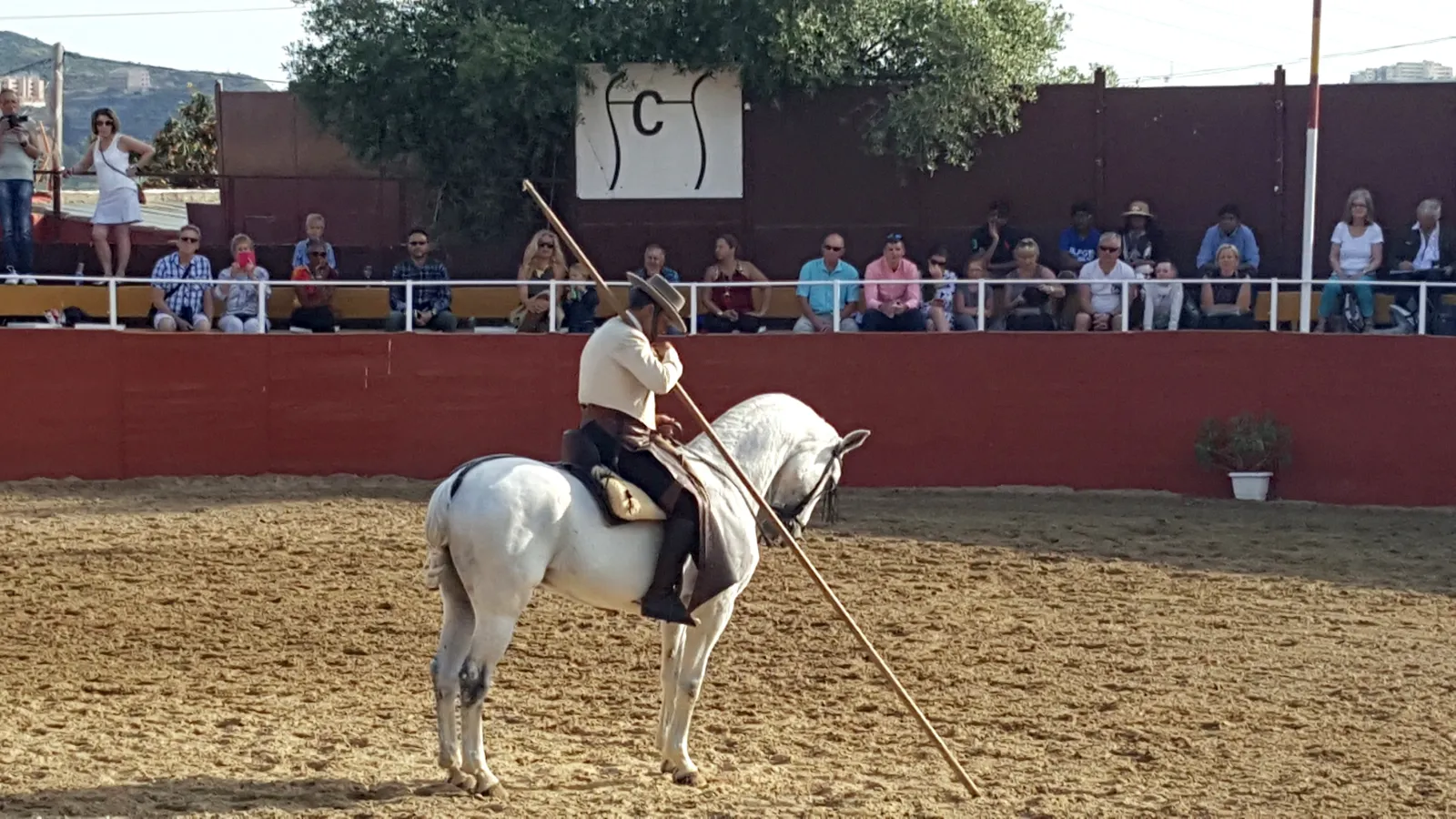 Jinete montando un caballo blanco pura raza en la arena