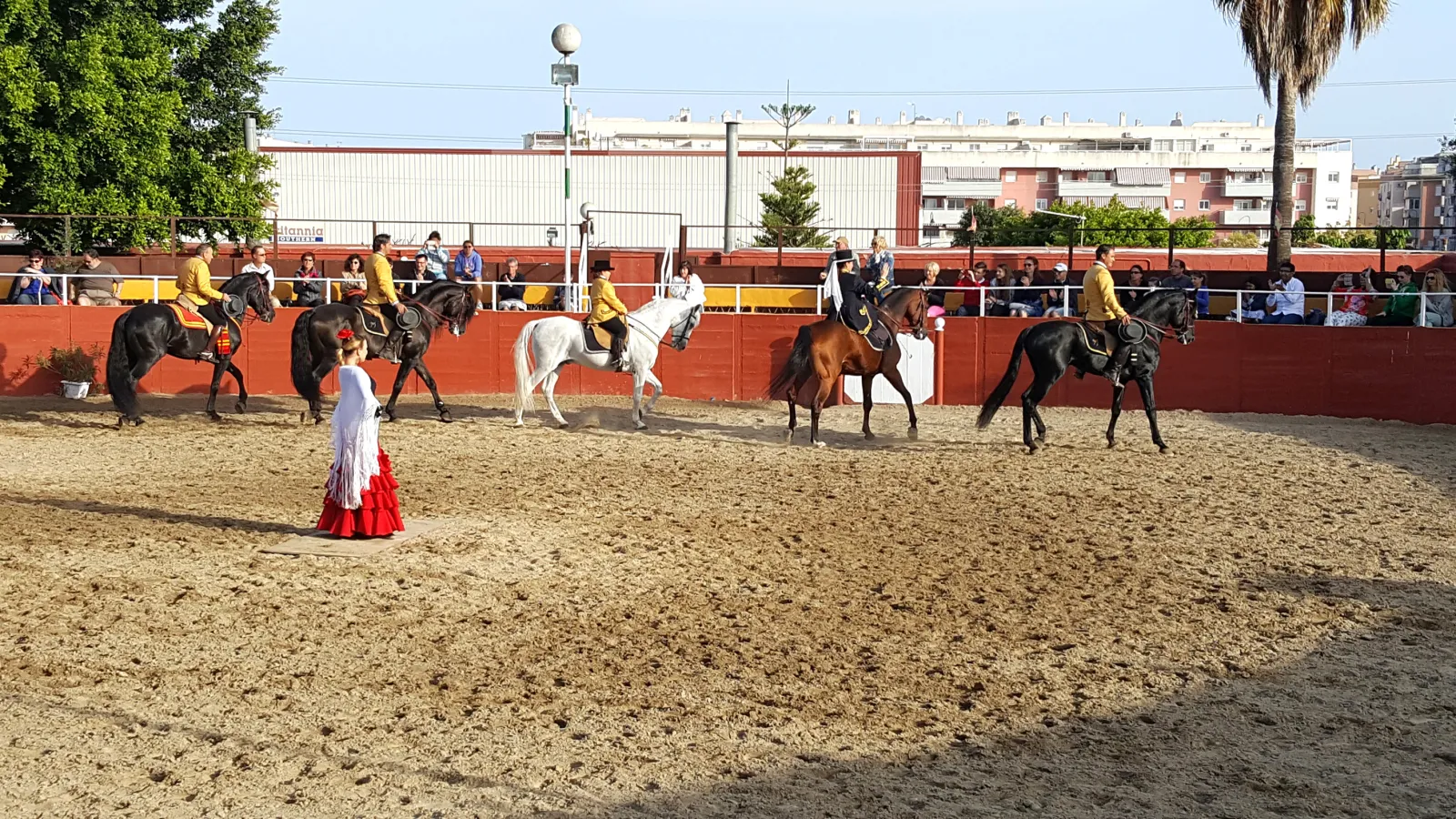 Bailaora con vestido rojo bailando junto a los caballos en la arena