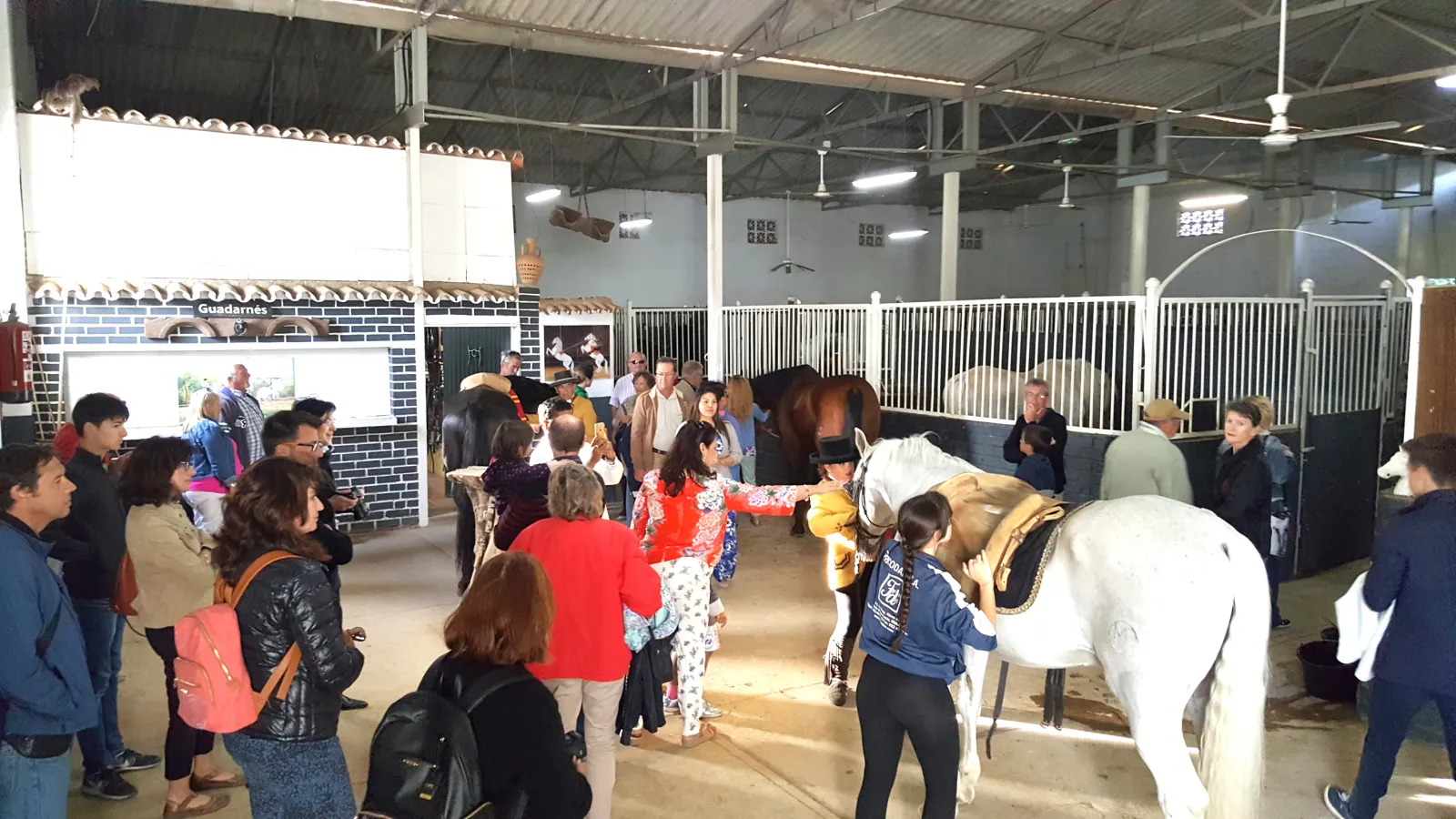 Visitantes haciéndose fotos junto a un caballo en la visita libre