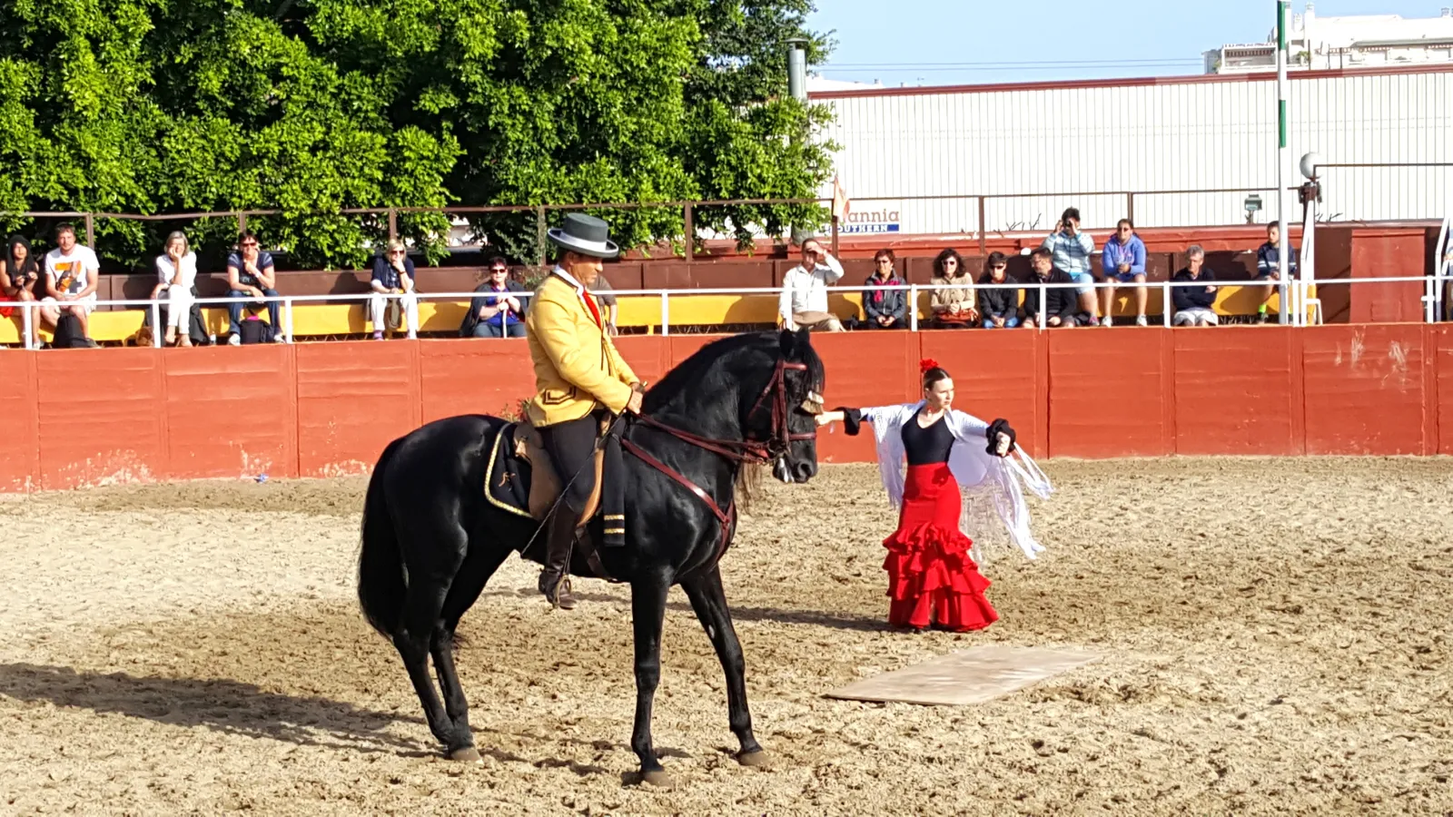 Caballos + Cena + Flamenco